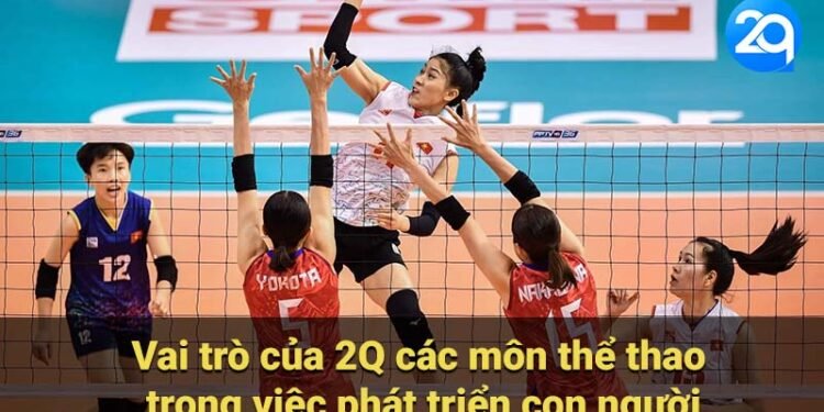 Khám Phá 2Q Các Môn Thể Thao Phổ Biến Tại Việt Nam 4 2q cac mon the thao 3