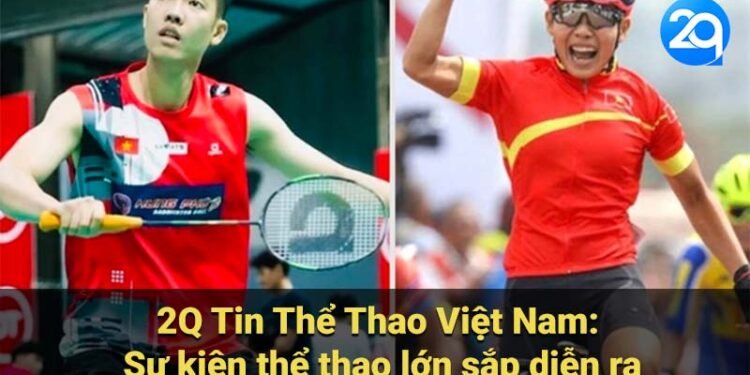 2q tin the thao viet nam 2