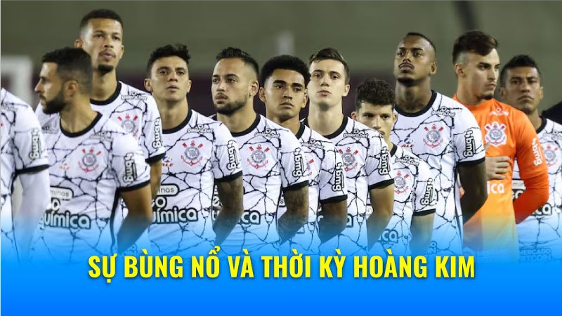 Sự bùng nổ và thời kỳ hoàng kim