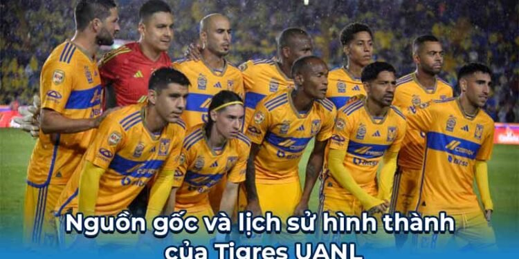 Tigres UANL: Hành Trình Vinh Quang Trong Bóng Đá Mexico 4 Tigres UANL 1