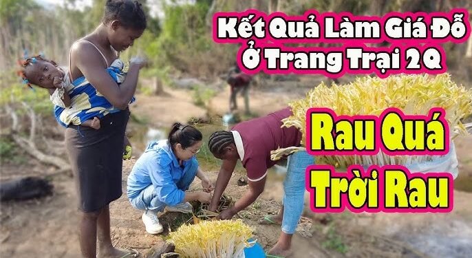 Trang trại 2Q đang phục vụ mục đích cá nhân như thế nào? 2 Trang trai 2Q dang phuc vu muc dich ca nhan nhu the nao 2