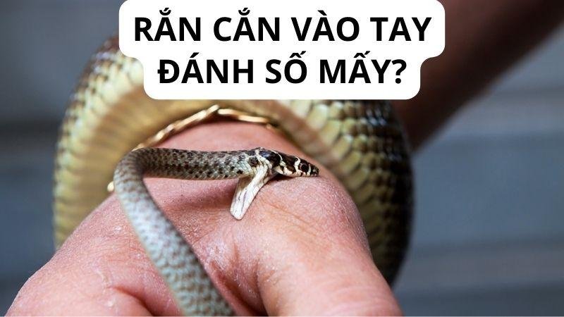 Suy luận từ giấc mơ để có con số lô đề chính xác