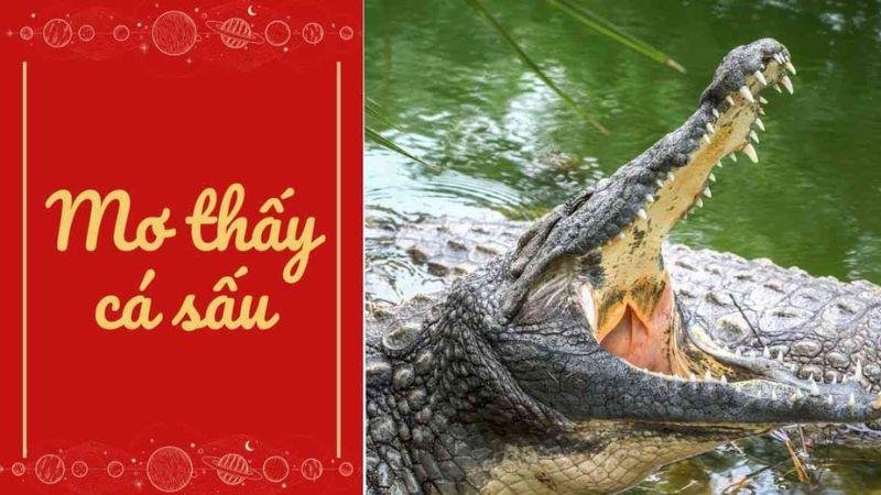 Giải mã giấc mơ thấy cá sấu