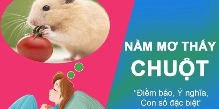 Chuyên Gia Giải Đáp: Nằm Mơ Thấy Chuột Đánh Con Gì Trong Lô Đề? 4 image 125