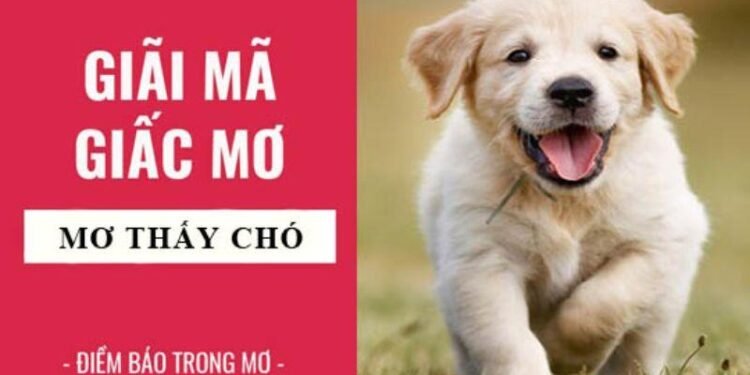 Nằm Mơ Thấy Chó Con Trong Xổ Số: Điềm Báo Gì? 4 image 131