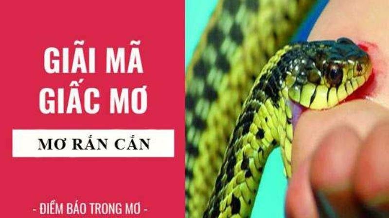 Liên hệ giữa giấc mơ vào xổ số để có con số lý tưởng