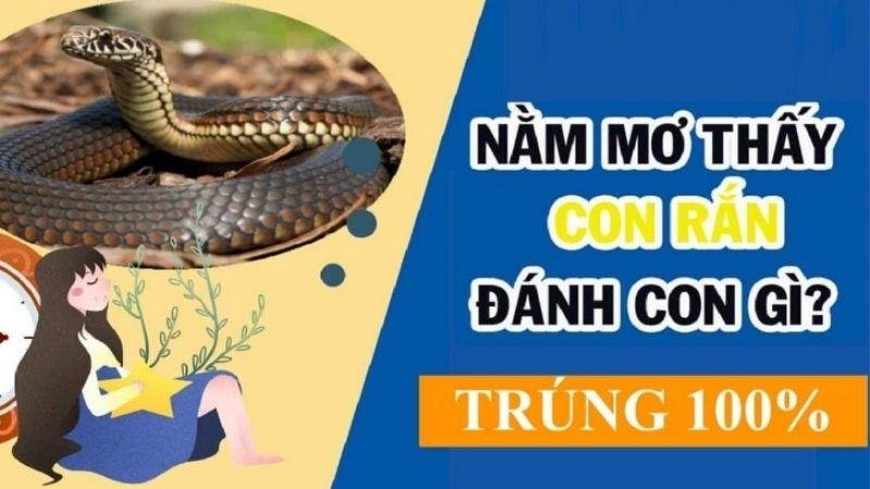 Dự báo giấc mơ rắn cắn