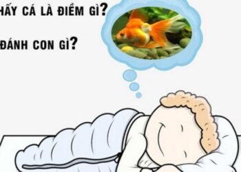 Nằm mơ thấy cá trong xổ số: Ý nghĩa và dự đoán số liệu may mắn 10 image 32