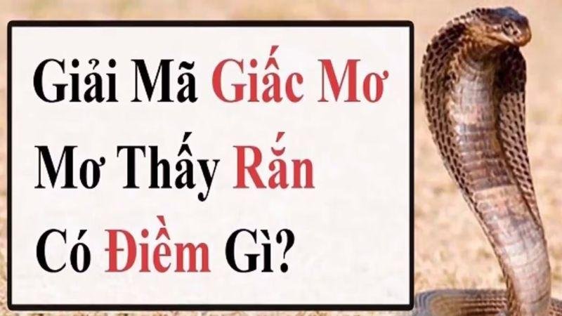Giới thiệu về việc Nằm Mơ Thấy Rắn Là Điềm Gì
