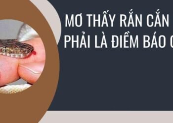 Nằm mơ thấy rắn là điềm gì trong xổ số? Phân tích tâm linh và sự may mắn 9 image 34