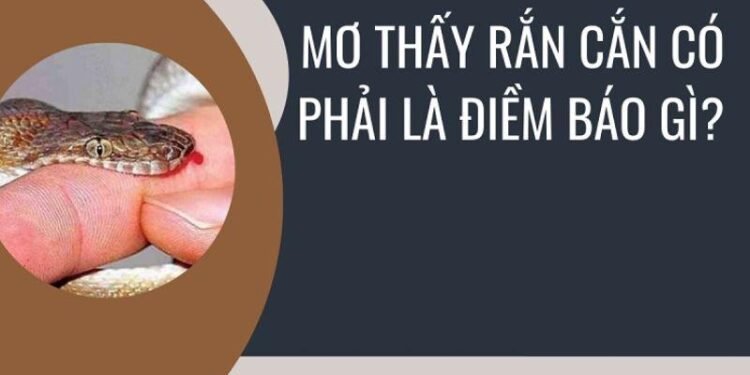 Nằm mơ thấy rắn là điềm gì trong xổ số? Phân tích tâm linh và sự may mắn 4 image 34