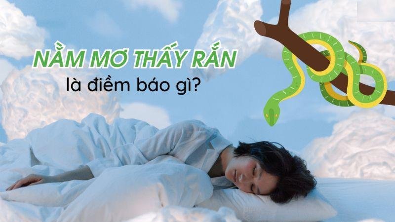 Suy luận con số chính xác khi nằm mơ thấy rắn