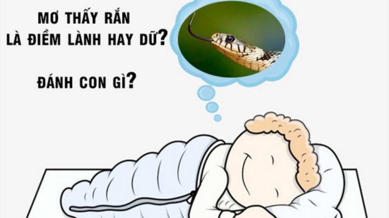 Nằm Mơ Thấy Rắn điểm báo gì?