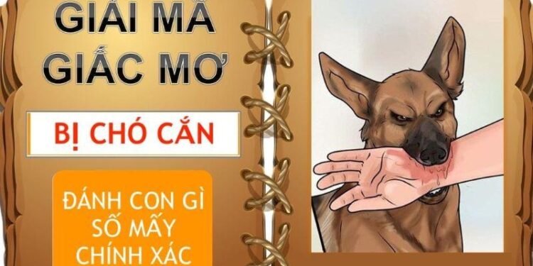 Nằm mơ thấy chó cắn trong xổ số: Bí ẩn và dự báo số may mắn 4 image 44