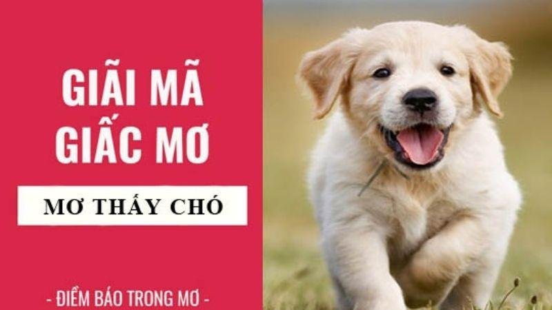 Ý nghĩa của Nằm Mơ Thấy Chó