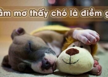 Nằm mơ thấy chó: Ý nghĩa và tình huống may mắn 5 image 46