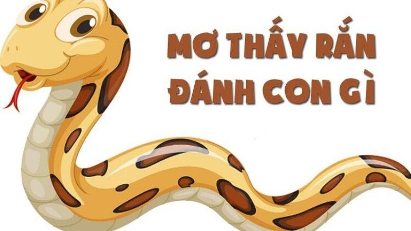 Giới thiệu về việc Nằm Mơ Thấy Rắn Đánh Số Gì