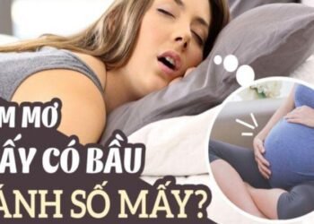 Nằm mơ thấy mình có bầu trong xổ số: Dự đoán số may mắn từ giấc mơ 9 image 64