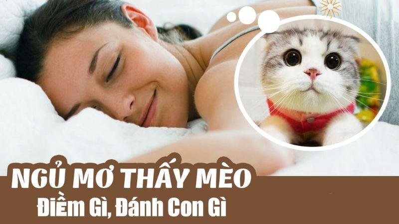Kinh nghiệm khi ngủ nằm mơ thấy mèo đánh con gì?