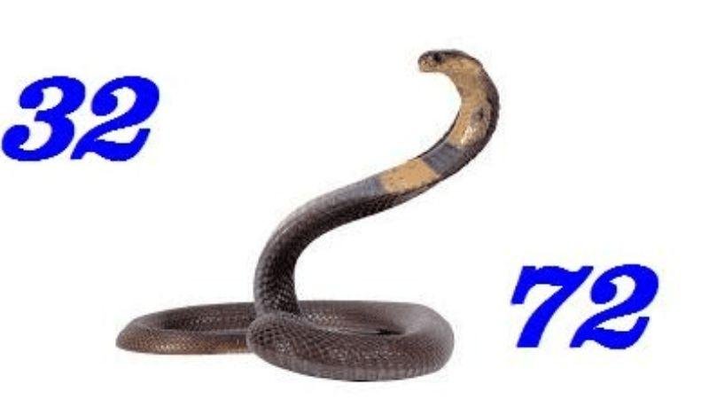 Giải mã việc nằm mơ thấy rắn đánh số gì