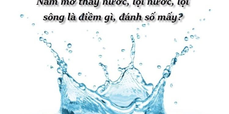 Nằm mơ thấy nước đánh số gì: Tìm hiểu ý nghĩa và dự báo số may mắn 4 image 80