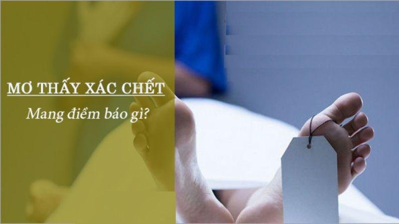 Nằm Mơ Thấy Xác Chết Trong Lô Đề: Ý Nghĩa Và Con Số May Mắn 7 Cách sử lý việc Nằm Mơ Thấy Xác Chết trong xổ số