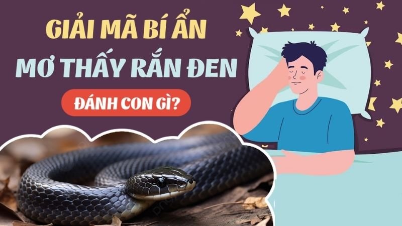 Suy luận giấc mơ thấy rắn đen để có con số lô đề ưng ý