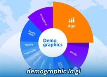 Demographic là gì? 5 demographic la gi 1