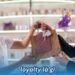Loyalty là gì? 4 loyalty la gi 1