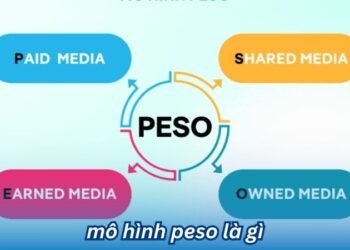 Mô Hình PESO Là Gì? 1 mo hinh peso la gi 1