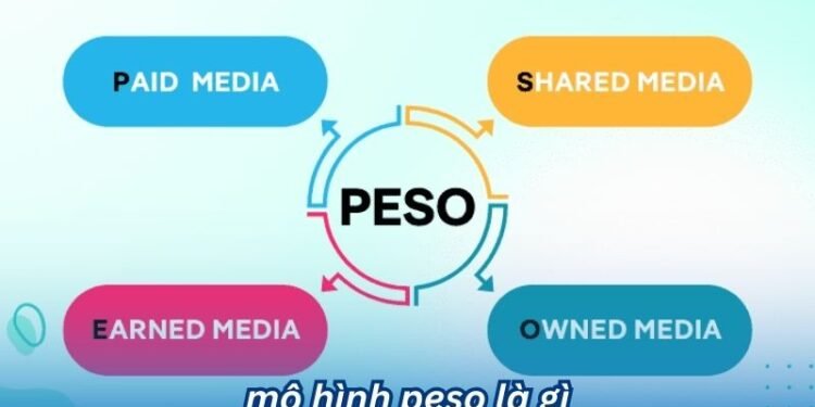 Mô Hình PESO Là Gì? 2 mo hinh peso la gi 1