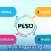 Mô Hình PESO Là Gì? 4 mo hinh peso la gi 1