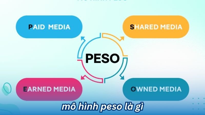 Mô Hình PESO Là Gì? 3 Mô Hình PESO Là Gì?