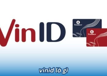 VinID là gì? 8 vinid la gi 1