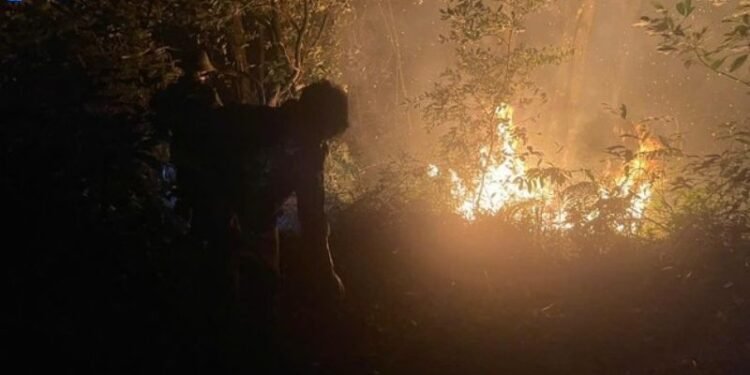 Cháy Rừng Ở Vườn Quốc Gia Ba Vì - Thiêu Rụi Hơn 3.000m2 3 chay-rung-o-vuon-quoc-gia-ba-vi